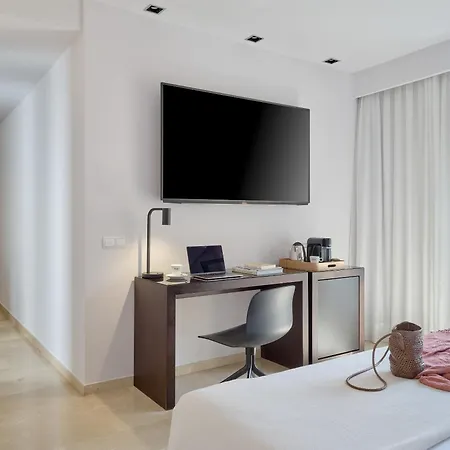 레이 알폰소 엑스