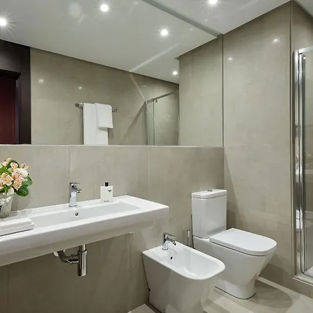 Rey Alfonso X Hotel 4*