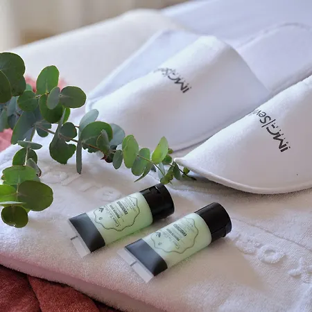 레이 알폰소 엑스 4*